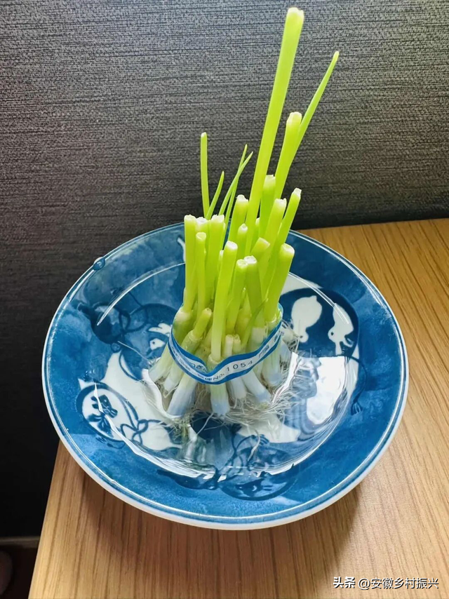 我在这个地球幸福的N个证据