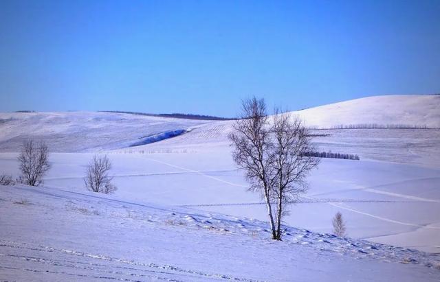 零下58℃的极致诱惑:呼伦贝尔冬季自驾,你敢挑战吗?