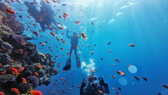 埃及9天8晚旅游攻略，轻松揭开古埃及文明的神秘面纱！