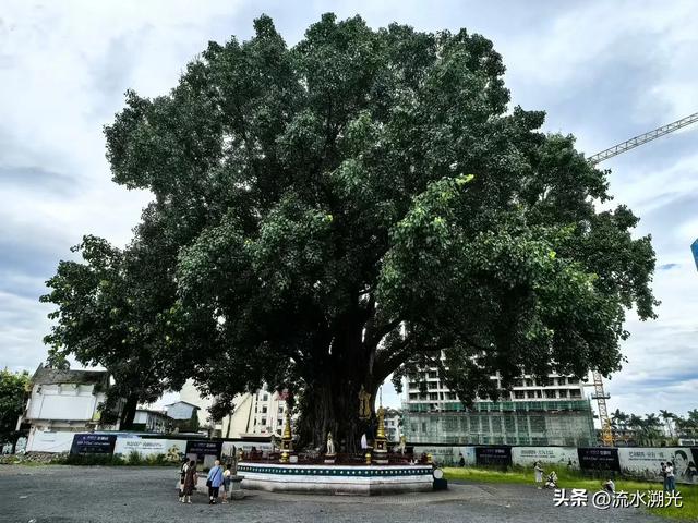 黎明之城：滇西边境的琥珀时光