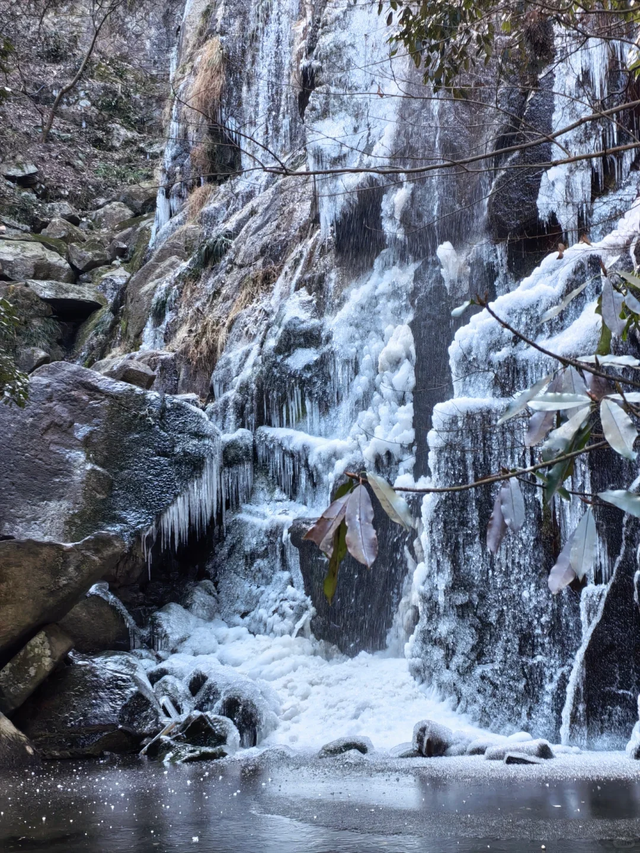 下雪了！下雪了！浙江的第一场雪来了！
