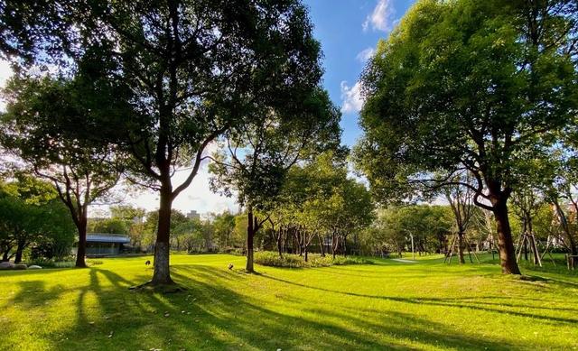 18个受国家眷顾的城市，30年后迎来大变化，苏州成为第一大黑马