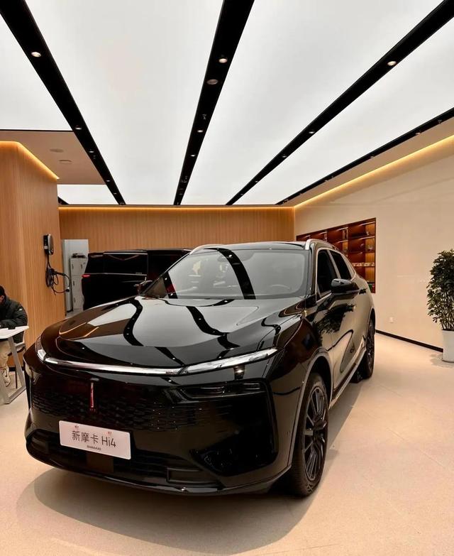 烧光500亿的“中国宝马	”	，引爆2026年第一颗雷