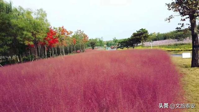 双节游泰安 | 拒绝“人挤人+没新意”！泰安更新隐藏宝藏地！