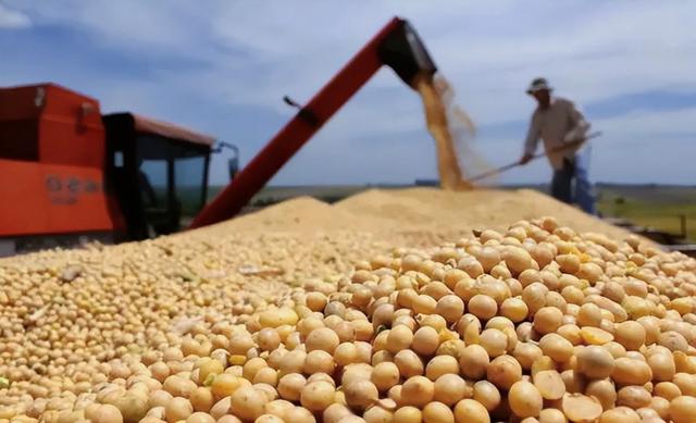 2500万吨的大豆,中国必须买?美国代表团抵华,想让中方亲口许诺