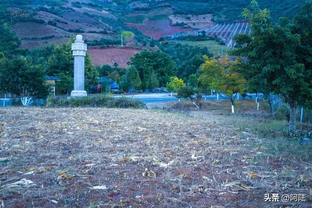 大理有个湿地很奇葩,水域面积少得可怜,路过的游客都看懵了