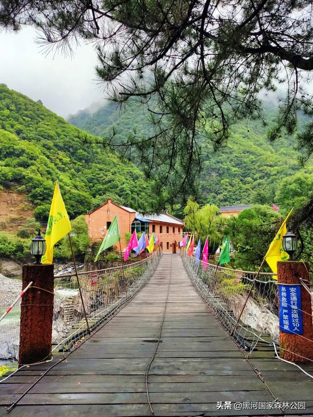 夏季避暑有“凉”方,黑河山水邀你共赴清凉盛宴!
