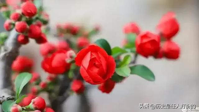 全方位介绍临沂河东区仅剩的六个镇街（6）:美到窒息的汤河镇