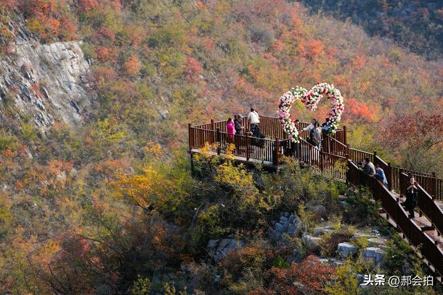 焦作窄门的深秋色彩！走五彩步道，赏太行红叶
