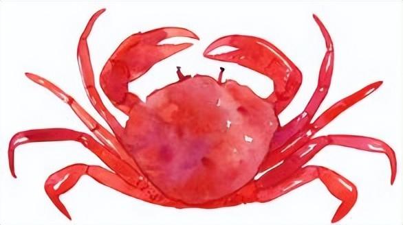 阿里88与哪吒3的故事：乘法表超快巧学大秘诀魔法花园（1）