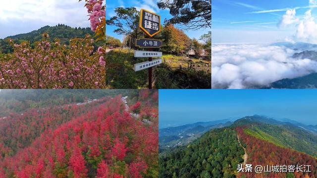 重庆新设两江新区，北碚“换”来5个文旅宝藏，到底是赚还是亏？