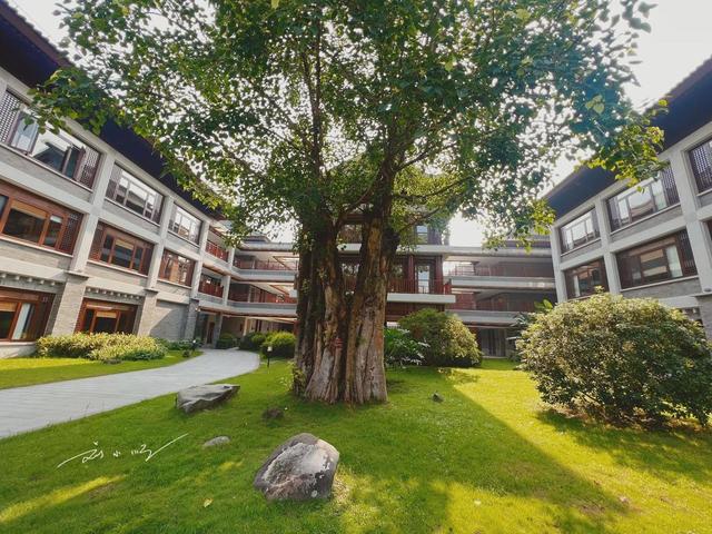 新兴是广东云浮的一个县，为什么当地人却不喜欢说自己是云浮人？