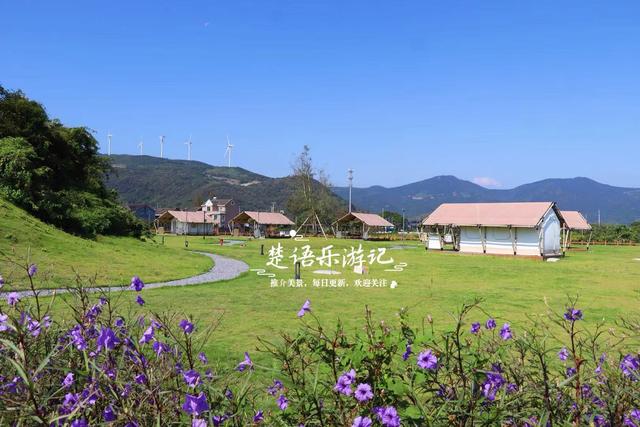 浙江宁波这片山海粉黛花海火了，但旁边风景更美，堪称宁波小新疆