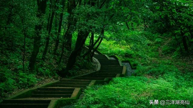 游黄山日记——【明】徐弘祖（徐霞客）