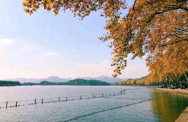 华东省会“第一城”，究竟是杭州，还是南京？合肥：当我不存在？