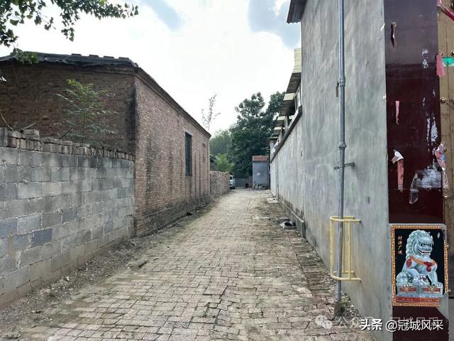 冠县乡韵·辛集镇崔刘八寨