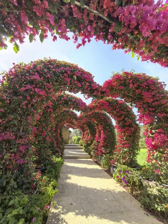 厦门又一网红出片点位,上新!美成偶像剧取景地→