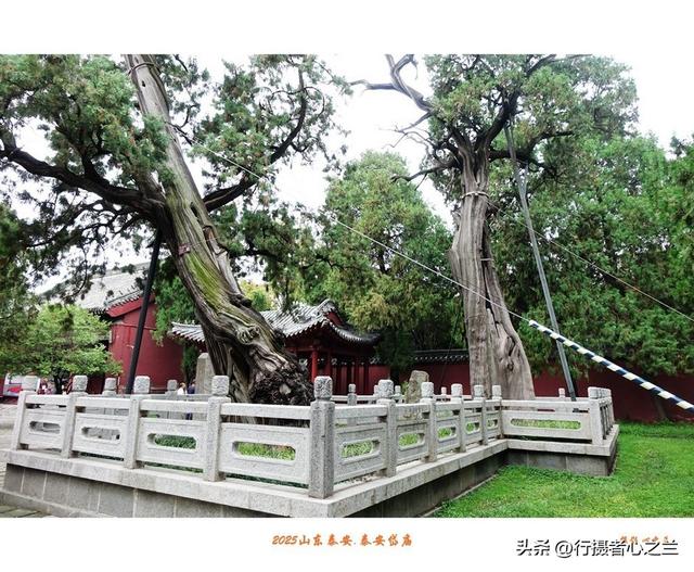 山东行游影记（307）—泰安岱庙（三）