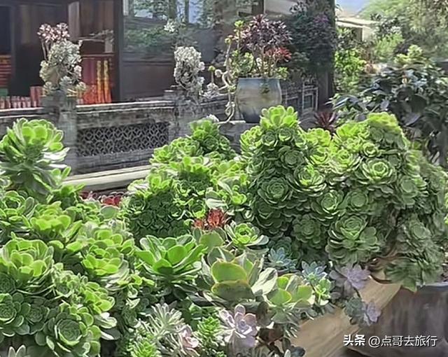 成都大邑最精致寺庙，钟鼓楼建于河上，超级漂亮，公共交通可达！