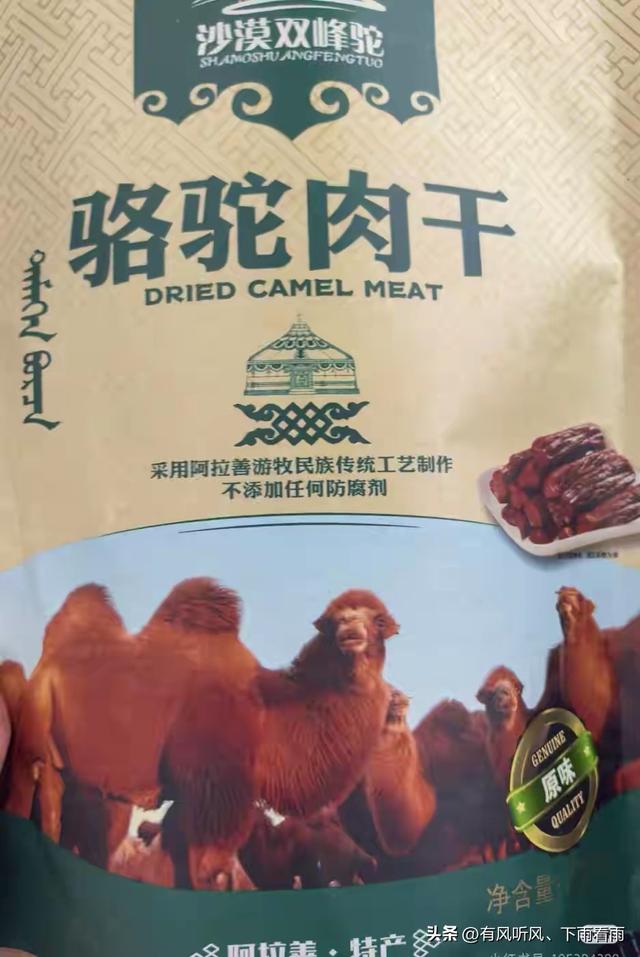 额济纳胡杨：为何枯木、遗址与烟火，反倒成了最动人的风景？