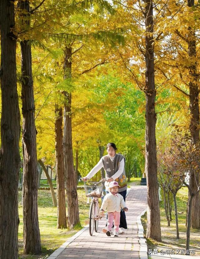 【乐游烟台】最新实拍！烟台鱼鸟河“顶级秋色”加载中