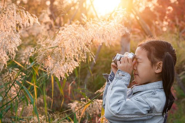 春秋假来袭！旅游企业如何把握新机遇？