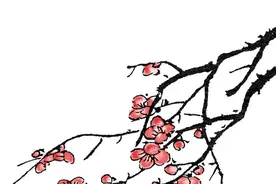 3、带“梅”字的飞花令诗句（同梅花）图片