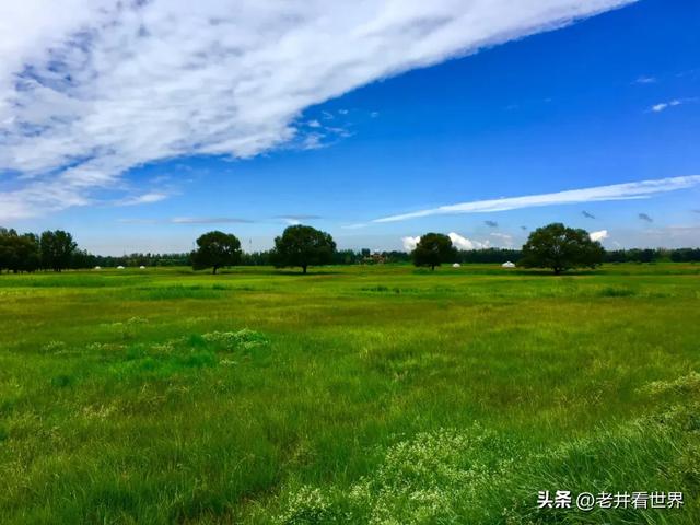 夏日再向草原行（三）内蒙古之行 文‖井明新