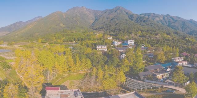 广西秋熟透了！红枫燃林、银杏铺古村，3条路线承包全国颜值巅峰