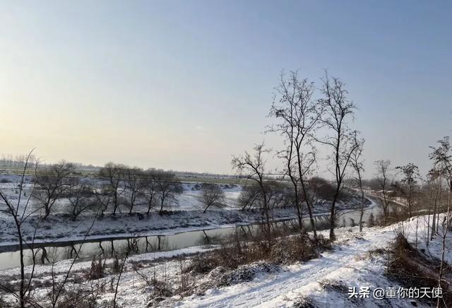 零下15度！河南四九天迎来寒冷暴击，真的要“猫冬”了？