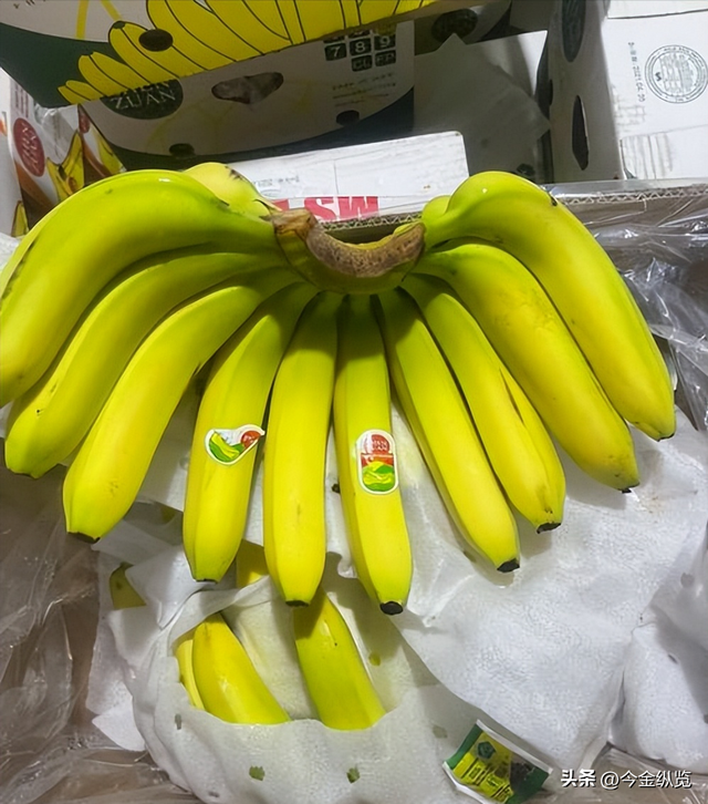 你家香蕉总烂一根？别再自责了！揭秘从果园到餐桌的“保鲜大战”