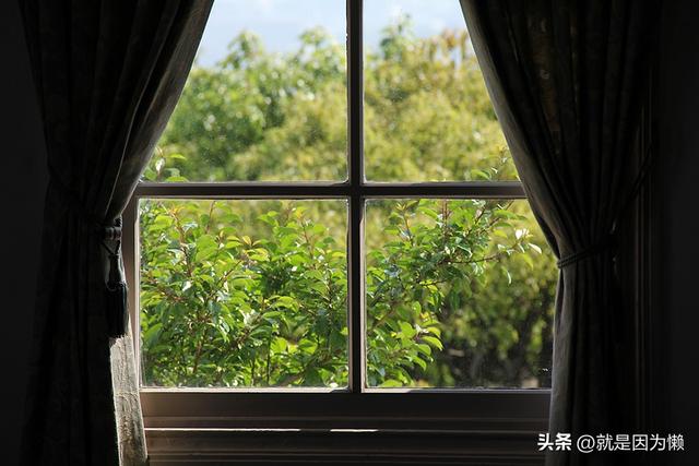 相机基本知识#7：测光