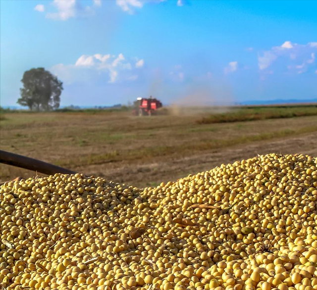 中方制裁刚落地不到24小时，美国火速回应，四个字道破特朗普心思