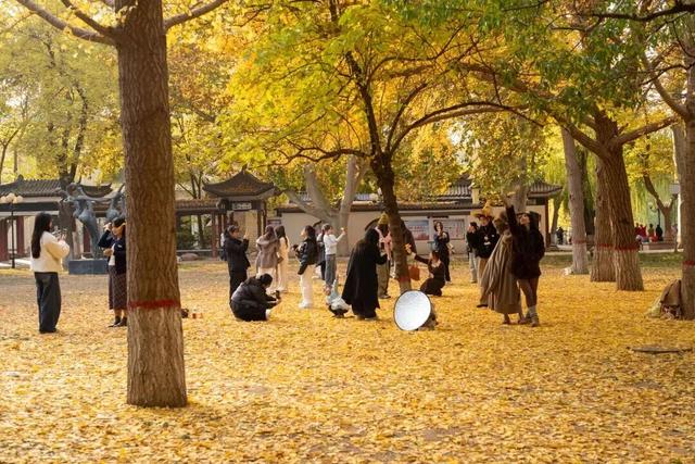 快来打卡！石家庄109座公园广场同步推出……