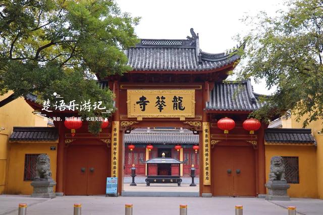 浙江宁波这座千年古寺不鸣则已，一鸣就美哭了，银杏林拍照太出片