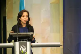 AI：中美国运之战，本质是中国人和海外华裔的竞争图片