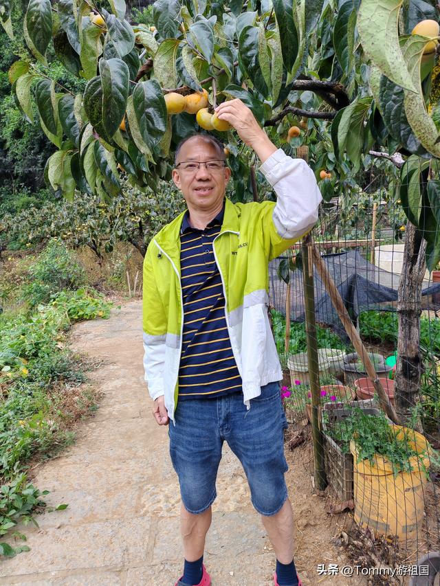 开着房车去流浪，打卡桂林恭城红岩村，漫山遍野柿子红