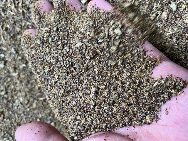巴西大豆价格暴涨79.9%,中国买家按下暂停键,明年这笔钱还花这吗?