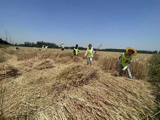 品味四季 乐享济阳：济阳探索全时全域沉浸式文旅新路径