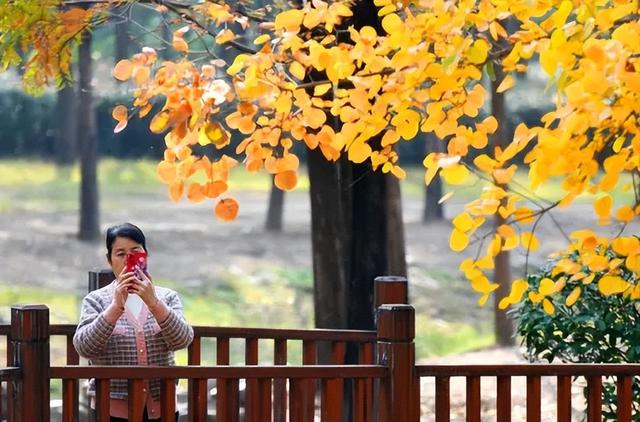 五彩斑斓的白龟湖国家湿地公园