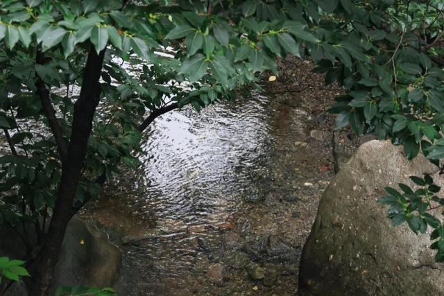 京西有惊喜 一起过暑期｜石景山区四大版块活动承包你的夏日快乐