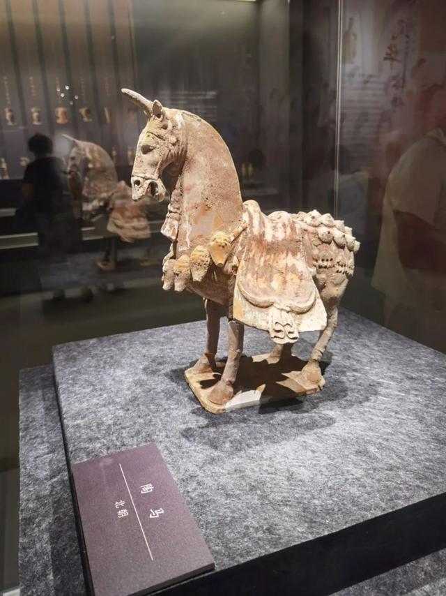 鑫江物业：城阳博物馆研学圆满成功