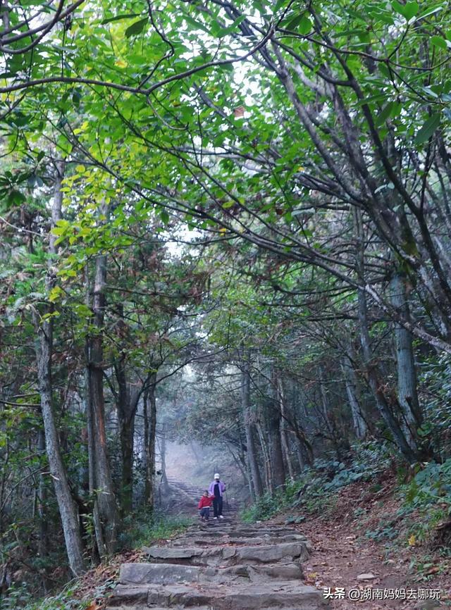 1.5h直达!藏在山野里的捡秋秘境,瀑布+挖宝双buff拉满!