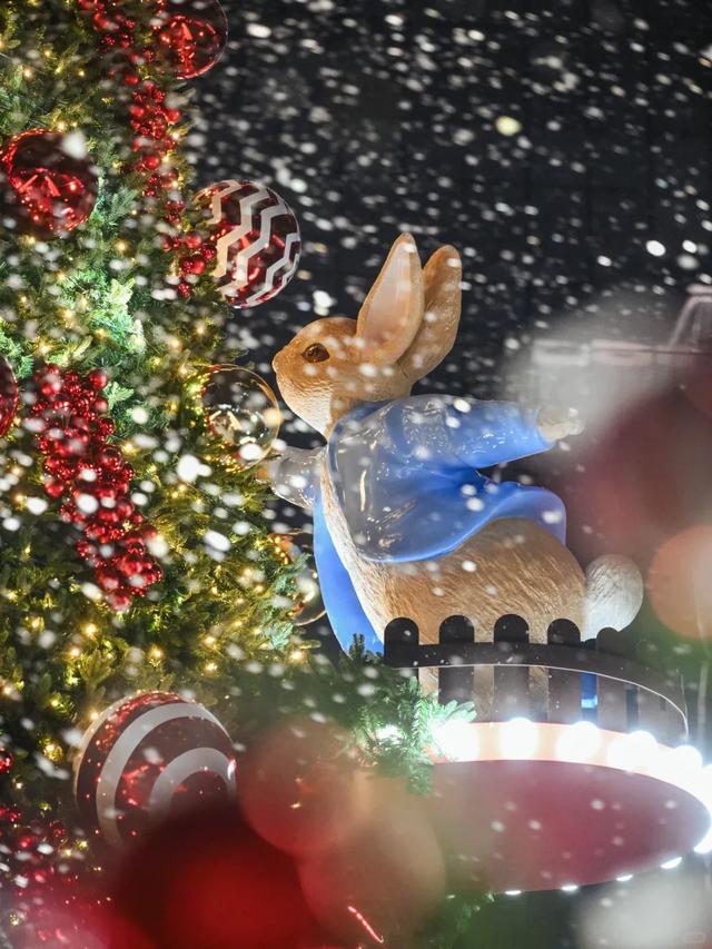 重庆人注意！这些地方将迎今冬“第一场雪”