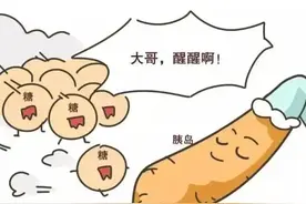 胰岛功能是如何受损的？怎样才能突出重围，使血糖获得“重生”？图片