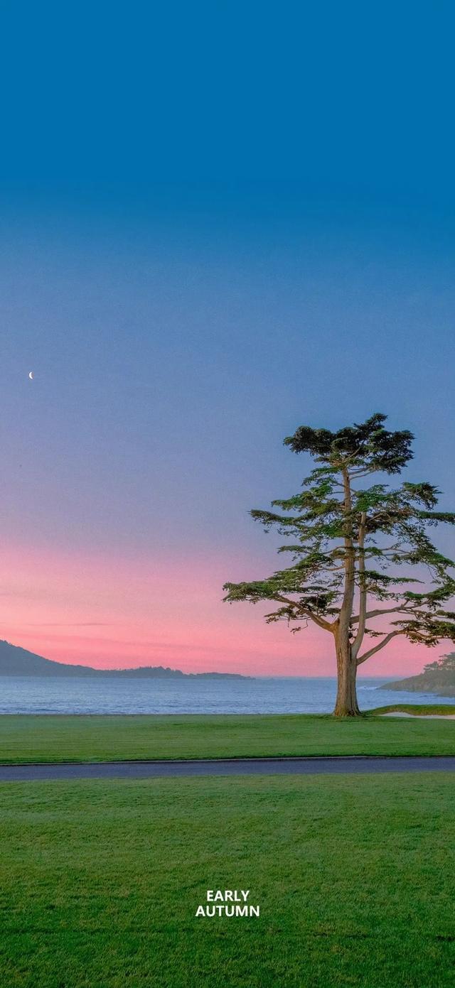 风景壁纸已送达