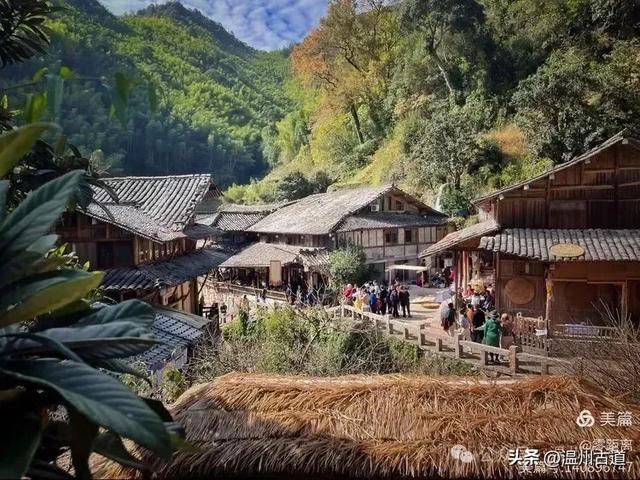 醉美林坑晒秋!这条连接两个避世古村落的省一级古道,周末可走起