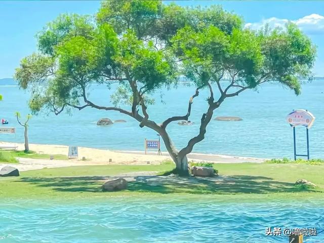 “辞职”告别就这样发朋友圈