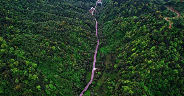 遛娃宝藏地 | 亲子游可以去哪？雨城帮你安排！
