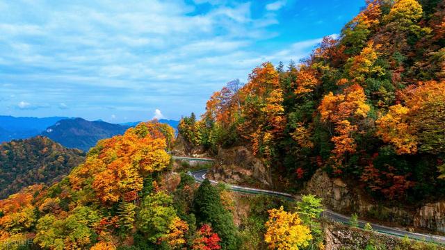 彩林观赏季，赏秋绝佳时，10月-12月适合去看的7处彩色山林